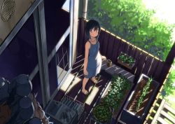 Rule 34 | 1girl, bad id, bad pixiv id, bird, black hair, blue eyes, domo1220, dress, from above, original, plant, porch, sandals, short hair, sliding doors, slippers, smile, solo, watering can