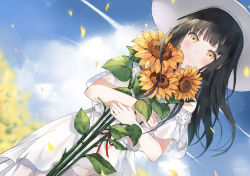Rule 34 | 1girl, bad id, bad pixiv id, bare shoulders, black hair, blue sky, blunt bangs, blurry, blurry background, brown eyes, cloud, cloudy sky, commentary request, day, depth of field, dress, emyo, field, flower, flower field, hat, hugging object, long hair, off-shoulder dress, off shoulder, orange flower, original, outdoors, petals, short sleeves, sky, solo, sun hat, sunflower, sunflower field, white dress, white hat, wide sleeves