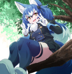 Rule 34 | 1girl, absurdres, animal ears, blue hair, boots, dire wolf (kemono friends), extra ears, gloves, grey eyes, highres, jacket, kemono friends, kemono friends v project, long hair, looking at viewer, lowlandgorilla, outdoors, ribbon, skirt, solo, tail, thighhighs, tree, twintails, v, virtual youtuber, wolf ears, wolf girl, wolf tail