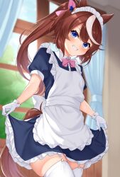 Rule 34 | 1girl, animal ears, apron, blue eyes, blurry, blurry background, blush, bow, bowtie, brown hair, cowboy shot, curtains, daichi (tokoya), garter straps, gloves, highres, horse ears, horse girl, horse tail, looking at viewer, maid, maid headdress, multicolored hair, outdoors, pink bow, pink bowtie, ponytail, short sleeves, solo, streaked hair, tail, thighhighs, tokai teio (umamusume), umamusume, white apron, white gloves, white hair, white thighhighs