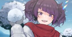 Rule 34 | 1girl, cloud, coat, diagonal bangs, earmuffs, hanetsuka, highres, idolmaster, idolmaster shiny colors, long sleeves, looking at viewer, mittens, open mouth, outdoors, purple eyes, purple hair, purple lips, red scarf, scarf, short twintails, sky, smile, snow, solo, tanaka mamimi, tree, twintails, winter, winter clothes, winter coat