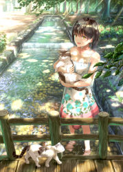 Rule 34 | 1girl, animal, barefoot, black hair, blush, brown eyes, brown hair, cat, collarbone, dappled sunlight, day, dress, fence, floral print, forest, highres, holding, holding animal, light rays, looking at viewer, nature, open mouth, original, outdoors, revision, ripples, short hair, sugi87, sunlight, tree, wading, water, white dress, wooden fence