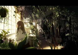 Rule 34 | 1girl, blurry, blush, brown eyes, brown hair, closed mouth, day, depth of field, door, from side, highres, indoors, letterboxed, long hair, long sleeves, looking away, looking outside, maeda mic, original, plant, potted plant, scenery, sitting, solo, stairs, sweater, table, white sweater, window