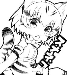 Rule 34 | 10s, 1girl, animal ears, bow, bowtie, cat ears, cat tail, greyscale, kemono friends, kurisu sai, looking at viewer, monochrome, open mouth, sand cat (kemono friends), short hair, simple background, solo, striped tail, tail, white background
