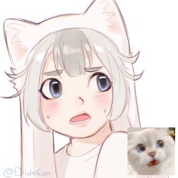 Rule 34 | 1other, androgynous, cat, dide6an, grey eyes, grey hair, highres, humanization, kitten, looking at viewer, medium hair, meme, original, photo-referenced, photo inset, reference inset, sketch