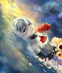 Rule 34 | 1girl, ascot, black shirt, daisy, dutch angle, flower, gradient sky, grey eyes, grey hair, hair between eyes, heterochromia, high collar, horizon, long hair, looking at viewer, luo er yue, nebula, original, partially submerged, plaid ascot, plaid neckwear, shirt, shirt under shirt, short sleeves, sky, solo, spider lily, star (sky), starry sky, string in mouth, sunflower, twilight, upper body, very long hair, water, white shirt, yellow eyes