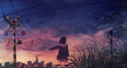Rule 34 | 1girl, amenomori howa, bird, black hair, cityscape, commentary request, from behind, gradient sky, grass, original, outdoors, outstretched arm, pointing, pointing to the side, power lines, railroad crossing, school uniform, serafuku, short hair, sky, sleeves rolled up, solo, standing, sunset, twilight, utility pole