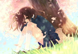 Rule 34 | bad id, bad pixiv id, brown eyes, brown hair, cherry blossoms, day, dog, dutch angle, from below, grass, hajida, highres, open mouth, petals, puppy, school uniform, short hair, sitting, sky, socks, solo, tears, tree