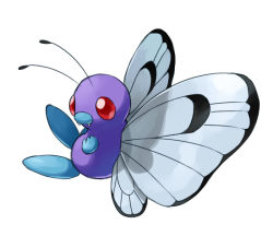 Rule 34 | bug, butterfly, butterfree, creatures (company), game freak, gen 1 pokemon, good frog, insect, nintendo, no humans, pokemon, pokemon (creature), red eyes, simple background, wings