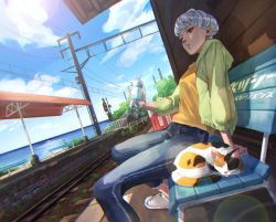 Rule 34 | 1girl, apex legends, bench, blush, bossan 3310, bottle, brown eyes, cat, denim, from side, green hoodie, highres, holding, holding bottle, hood, hoodie, jeans, pants, parted lips, railroad tracks, scenery, shirt, short hair, silver hair, sitting, solo, train station, valkyrie (apex legends), water bottle, whiskers, yellow shirt
