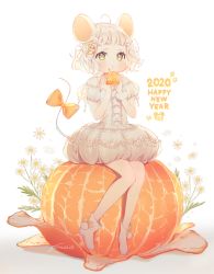 Rule 34 | 1girl, 2020, :t, ahoge, animal ears, bad id, bad pixiv id, bare shoulders, blush, boots, bow, brown eyes, chinese zodiac, closed mouth, commentary request, dress, eating, flower, food, food on face, fruit, full body, gomzi, hair ornament, hairclip, happy new year, heart, heart hair ornament, holding, holding food, mandarin orange, mini person, minigirl, mouse ears, mouse girl, mouse tail, new year, off-shoulder dress, off shoulder, orange bow, original, puffy short sleeves, puffy sleeves, see-through, see-through silhouette, short hair, short sleeves, signature, sitting, solo, star (symbol), tail, tail bow, tail ornament, tail raised, white background, white dress, white flower, white footwear, white hair, year of the rat