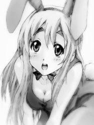 Rule 34 | 1girl, amaoto, animal ears, bare shoulders, bow, bowtie, breasts squeezed together, breasts, cleavage, eyebrows, fake animal ears, gofu, greyscale, k-on!, kotobuki tsumugi, monochrome, open mouth, pantyhose, playboy bunny, rabbit ears, round teeth, sketch, solo, teeth, traditional media, wing collar