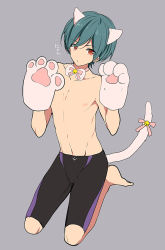 Rule 34 | 1boy, animal ears, artist request, barefoot, bell, black jammers, black male swimwear, blue hair, bow, bowtie, cat ears, cat paws, cat tail, claw pose, full body, gloves, grey background, high speed!, jammers, kirishima ikuya, kneeling, looking at viewer, male focus, male swimwear, neck bell, paw gloves, paws, pink bow, red eyes, simple background, solo, swimsuit, tail, tail bell, tail bow, tail ornament, topless male, white bow, white bowtie