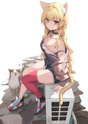 Rule 34 | 1girl, absurdres, animal ears, blonde hair, breasts, camisole, cat ears, cat tail, collar, extra ears, fish hair ornament, hair ornament, highres, jacket, long hair, looking at viewer, medium breasts, open clothes, open jacket, original, red thighhighs, ryou (ponpgo), shorts, single thighhigh, sitting, solo, tail, thighhighs, yellow eyes