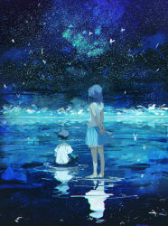 Rule 34 | 1boy, 1girl, arms behind back, barefoot, black hair, blue theme, chromatic aberration, commentary request, demizu posuka, dress, facing away, from behind, long hair, night, night sky, original, outdoors, pants, reflection, ripples, shirt, short hair, sitting, sketch, skirt, sky, sleeveless, standing, star (sky), starry sky, water, white shirt