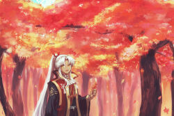Rule 34 | 1boy, amakusa shirou (fate), amakusa shirou (third ascension) (fate), ascot, autumn, autumn leaves, black kimono, commentary request, cross print, fate/grand order, fate (series), forest, hair ribbon, high ponytail, japanese clothes, jinbaori, kimono, long hair, long sleeves, looking at viewer, male focus, medium bangs, mogukk, nature, official alternate costume, official alternate hair length, official alternate hairstyle, open mouth, parted bangs, red ribbon, ribbon, smile, solo, tree, upper body, very long hair, white ascot, white hair, wide sleeves, yellow eyes