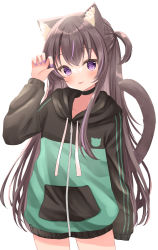 Rule 34 | 1girl, :p, animal ear fluff, animal ears, brown hair, cat ears, cat girl, cat tail, claw pose, hamico, highres, hood, hood down, hoodie, long hair, long sleeves, looking at viewer, multicolored hair, nail polish, no pants, one side up, original, purple hair, purple nails, simple background, sleeves past fingers, sleeves past wrists, streaked hair, tail, tongue, tongue out, white background