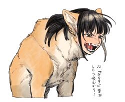 Rule 34 | 1girl, angry, animal ears, black eyes, black hair, brown fur, dog ears, dog girl, fangs, furrowed brow, growling, highres, human head, li sakura, long hair, looking at viewer, open mouth, original, sidelocks, simple background, sitting, solo, translation request, upper body, what, white background