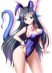 Rule 34 | 1girl, animal ears, bare shoulders, black hair, blue eyes, blush, bow, bowtie, breasts, cleavage, covered navel, detached collar, dragon girl, dragon tail, fake animal ears, fins, head fins, karin (p&amp;d), leotard, long hair, looking at viewer, minato yoshihiro, playboy bunny, puzzle &amp; dragons, rabbit ears, simple background, smile, solo, tail, very long hair, wrist cuffs