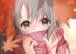Rule 34 | 1girl, blurry, blurry background, blurry foreground, blush, covered mouth, depth of field, falling leaves, grey hair, holding, holding clothes, holding scarf, idolmaster, idolmaster cinderella girls, leaf, looking at viewer, maple leaf, maple tree, otokura yuuki, outdoors, plaid, plaid scarf, portrait, scarf, solo, tree, yuukura yuu