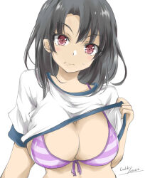 Rule 34 | 1girl, bikini, black hair, breasts, cleavage, clothes lift, front-tie bikini top, front-tie top, gakky, kantai collection, large breasts, lifting own clothes, one-hour drawing challenge, red eyes, shirt, shirt lift, short hair, simple background, solo, striped bikini, striped clothes, swimsuit, t-shirt, takao (kancolle), upper body, white background, white shirt