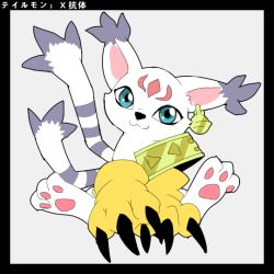 Rule 34 | animal ears, cat, cat ears, claws, digimon, gloves, holy ring, tailmon, tailmon x-antibody