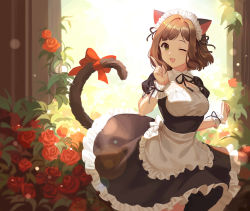 Rule 34 | 1girl, ;d, absurdres, animal ears, apron, bad id, bad pixiv id, black dress, black ribbon, blush, bow, breasts, brown hair, cat ears, cat tail, dress, fang, flower, frilled apron, frilled dress, frills, green eyes, hair ribbon, highres, idolmaster, idolmaster cinderella girls, idolmaster cinderella girls starlight stage, index finger raised, looking at viewer, maekawa miku, maid, maid headdress, medium breasts, multiple girls, one eye closed, onigiri (233), open mouth, red flower, red rose, ribbon, rose, short hair, short sleeves, smile, solo, standing, tail, tail bow, tail ornament, tail ribbon, white apron, white wrist cuffs, wrist cuffs
