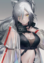 Rule 34 | 1girl, arknights, arl, black scarf, breasts, cleavage, closed mouth, eyes visible through hair, gradient background, grey background, grey hair, hair over one eye, highres, jacket, long hair, looking at viewer, medium breasts, navel, plaid, plaid scarf, scarf, schwarz (arknights), see-through, solo, stomach, yellow eyes