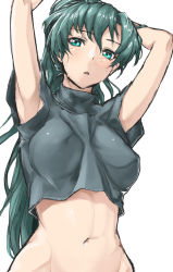 Rule 34 | 1girl, armpits, arms up, crying, fire emblem, fire emblem: the blazing blade, green eyes, green hair, high ponytail, long hair, looking at viewer, lyn (fire emblem), matching hair/eyes, navel, nintendo, open mouth, ponytail, sajittari, shirt, simple background, solo, stomach, t-shirt, tears, turtleneck, very long hair, white background