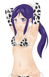 Rule 34 | 1girl, animal print, arm over head, artist name, artist request, bare shoulders, bikini, blue hair, blush, breasts, cleavage, collarbone, cow print, drake (drake illust), drake illust, female focus, fixing hair, hair between eyes, hands over head, highres, long hair, looking at viewer, love live!, love live! sunshine!!, matsuura kanan, medium breasts, mouth hold, parted lips, ponytail, purple eyes, smile, solo, swimsuit, white background, white bikini