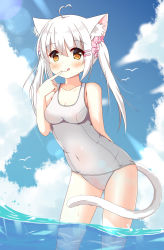 Rule 34 | 1girl, :q, ahoge, animal ears, bare arms, bare shoulders, bird, blue sky, blush, breasts, cat ears, cat girl, cat tail, cleavage, cloud, collarbone, day, eyes visible through hair, finger to mouth, hair between eyes, hair ornament, hair scrunchie, hairclip, heart, heart ahoge, highres, leaning forward, long hair, looking at viewer, medium breasts, ocean, old school swimsuit, one-piece swimsuit, orange eyes, original, outdoors, pink scrunchie, polka dot, polka dot scrunchie, school swimsuit, scrunchie, sidelocks, sky, smile, solo, standing, sunlight, swimsuit, tail, tareme, tongue, tongue out, twintails, wading, water, wet, white hair, white one-piece swimsuit, white school swimsuit, xiaosamiao