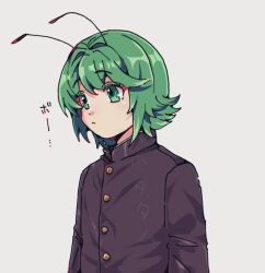 Rule 34 | 1girl, alternate costume, androgynous, antennae, black jacket, bobotatamu, buttons, closed mouth, commentary request, expressionless, gakuran, green eyes, green hair, grey background, hair intakes, highres, jacket, long sleeves, looking afar, medium bangs, school uniform, short hair, simple background, solo, tomboy, touhou, translation request, upper body, wriggle nightbug
