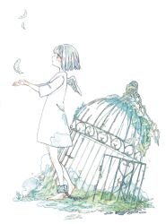 Rule 34 | 1girl, barefoot, birdcage, cage, chain, chained, closed mouth, colored skin, dress, falling feathers, feathered wings, feathers, flower, full body, grass, grey shirt, highres, original, painting (medium), profile, shirt, short hair, solo, standing, traditional media, umi cryblue, watercolor (medium), white dress, white flower, white skin, white wings, wings