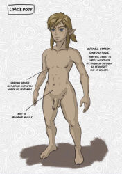 Rule 34 | 1boy, english text, flaccid, foreskin, link, nintendo, nude, penis, solo, the legend of zelda, the legend of zelda: breath of the wild