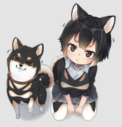 Rule 34 | 1girl, :3, animal, animal ear fluff, animal ears, black hair, collar, commentary, creature and personification, dog, dog ears, dog girl, dog tail, grey background, head tilt, looking at viewer, nyifu, original, pantyhose, pleated skirt, shiba inu, shirt, short hair, simple background, sitting, skirt, tail, thick eyebrows, twitter username, white background, white shirt, wing collar