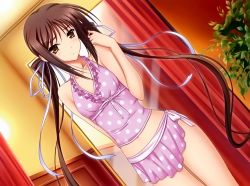 Rule 34 | 1girl, breasts, brown eyes, brown hair, highres, houjouin seika, long hair, looking at viewer, official art, princess lover, small breasts, solo, standing