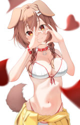 Rule 34 | 1girl, :3, absurdres, animal ears, bare shoulders, bikini, blurry, blurry foreground, blush, bone hair ornament, braid, breasts, brown hair, cleavage, closed mouth, clothes around waist, collar, collarbone, cowboy shot, depth of field, dog ears, dog girl, dog tail, hair ornament, hands up, heart, heart hands, highres, hololive, inugami korone, inugami korone (1st costume), long hair, looking at viewer, medium breasts, navel, orange eyes, petals, simple background, smile, stomach, swimsuit, tail, three twosix, twin braids, virtual youtuber, white background, white bikini, wristband