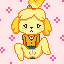 Rule 34 | 1girl, animal crossing, animal ears, animal nose, arms at sides, barefoot, blonde hair, blush, body fur, cleft of venus, dog ears, dog girl, female focus, full body, furry, furry female, green skirt, hair bobbles, hair ornament, hair tie, isabelle (animal crossing), lewlem, light blush, long sleeves, nintendo, no panties, parted bangs, pink background, pixel art, pussy, short hair, sitting, skirt, solo, spread legs, topknot, two-tone fur, yellow fur