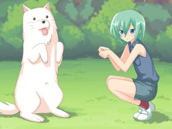 Rule 34 | 00s, androgynous, blue eyes, casual, cherry (lucky star), dog, gender request, green hair, iwasaki minami, kaizeru, lucky star, paw pose, short hair, squatting, standing, wallpaper