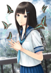 Rule 34 | 1girl, bad id, bad pixiv id, black eyes, black hair, blurry, blurry background, bug, butterfly, day, fingers together, hair ornament, hairclip, hami (hami-gerden), highres, bug, long hair, looking at viewer, original, outdoors, railing, school uniform, serafuku, solo, standing, steepled fingers, uniform