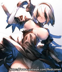 Rule 34 | 1girl, black dress, black gloves, blindfold, breasts, breasts out, censored, cleft of venus, cowboy shot, dress, gloves, hairband, leotard, nier (series), nier:automata, nipples, pussy, redcomet, sheath, sheathed, solo, sword, uncensored, watermark, weapon, web address, white hair, white leotard, 2b (nier:automata)