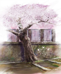 Rule 34 | cherry blossoms, day, grass, hachiya shohei, no humans, original, outdoors, scenery, signature, still life, tree, wall