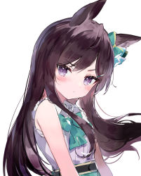 Rule 34 | 1girl, bad id, bad pixiv id, bare shoulders, black hair, blue bow, blush, bow, closed mouth, collared shirt, ear bow, green bow, green skirt, long hair, looking at viewer, mejiro dober (umamusume), purple eyes, shirt, simple background, skirt, sleeveless, sleeveless shirt, solo, toufu mentaru zabuton, umamusume, upper body, v-shaped eyebrows, very long hair, white background, white shirt