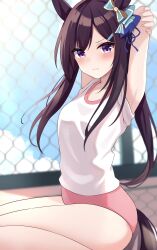 Rule 34 | 1girl, alternate costume, animal ears, armpits, arms up, black hair, blurry, blurry background, buruma, closed mouth, commentary request, fence, hair ornament, hairclip, highres, horse ears, horse girl, horse tail, looking at viewer, mejiro dober (umamusume), sitting, sky, solo, tail, umamusume, zeatto