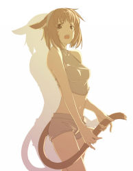 Rule 34 | 1girl, animal ears, bad id, bad pixiv id, bare shoulders, breasts, brown eyes, cat ears, cat girl, cat tail, cowboy shot, d:, facial mark, final fantasy, final fantasy xiv, frown, hairband, harusame (rueken), light brown hair, looking at viewer, looking to the side, midriff, miqo&#039;te, open clothes, open mouth, open shorts, shadow, short hair, shorts, simple background, sleeveless, small breasts, solo, standing, sweatdrop, tail, tail grab, teeth, upper teeth only, warrior of light (ff14), white background, white hairband