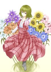 Rule 34 | 1girl, bad id, bad pixiv id, black footwear, boots, breasts, clematis (flower), collarbone, dress, easter lily, flower, flower request, grass, green hair, kazami yuuka, lily (flower), long sleeves, looking at viewer, marigold, medium breasts, plaid, plaid dress, plaid vest, pointing, pointing at viewer, primamiya, red eyes, shirt, smile, solo, sunflower, touhou, umbrella, vest, white shirt