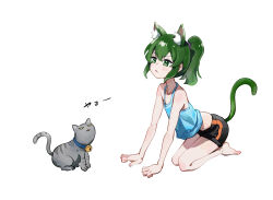 1girl :&lt; all_fours animal_ear_fluff animal_ears bare_arms bare_legs bare_shoulders barefoot bell black_shorts blue_collar blue_tank_top cat_ears cat_girl cat_tail collar green_eyes green_hair grey_cat igarashi_futaba_(shiromanta) kemonomimi_mode long_hair medium_hair midriff mo0o0rae neck_bell ponytail senpai_ga_uzai_kouhai_no_hanashi shorts simple_background solo tail tank_top translation_request white_background