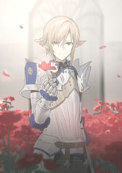 Rule 34 | 1boy, armor, blurry, blurry background, blurry foreground, breastplate, chainmail, chihuri, closed mouth, depth of field, ear piercing, eyes visible through hair, final fantasy, final fantasy xiv, flower, gauntlets, green eyes, hair over one eye, highres, holding, holding flower, light brown hair, male focus, pauldrons, petals, piercing, pointy ears, red flower, shoulder armor, solo, zephirin de valhourdin