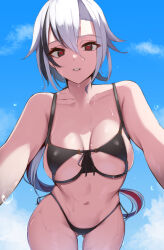 Rule 34 | 1girl, arlecchino (genshin impact), bikini, black bikini, black eyes, black hair, blue sky, breasts, cleavage, commentary request, genshin impact, gluteal fold, grey hair, hair between eyes, haneramu, highres, large breasts, leaning forward, long hair, looking at viewer, multicolored hair, navel, outdoors, parted lips, red hair, red pupils, sky, solo, streaked hair, swimsuit, symbol-shaped pupils, wet, x-shaped pupils