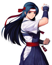 Rule 34 | 1girl, blue eyes, blue hair, blue hakama, clenched hand, closed mouth, commentary request, dougi, evilgun, fighting stance, fingernails, hakama, hakama skirt, hand up, headband, highres, japanese clothes, lips, long hair, short sleeves, simple background, skirt, snk, solo, the king of fighters, toudou kasumi, upper body, white background